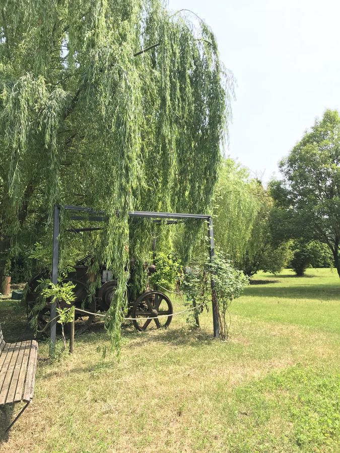Agriturismo Corte Salandini Hotel ปอนติ ซุล มินโช ภายนอก รูปภาพ